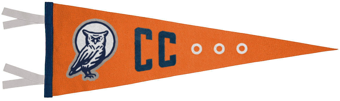 Council Coffee Pennant with Owl logo concept
