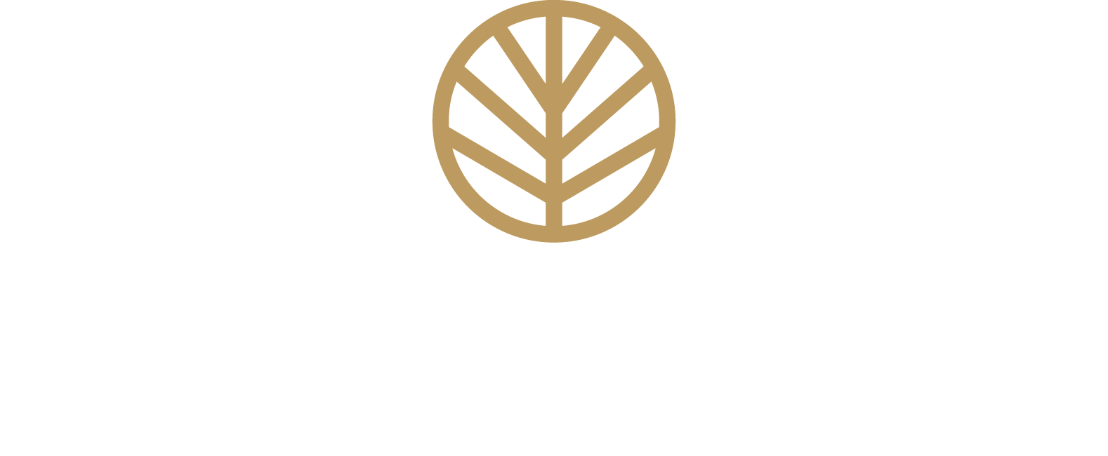 Black Alder Logo