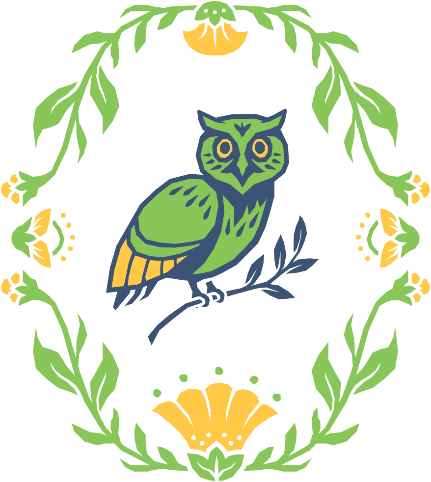 The Damn Rules owl illustration