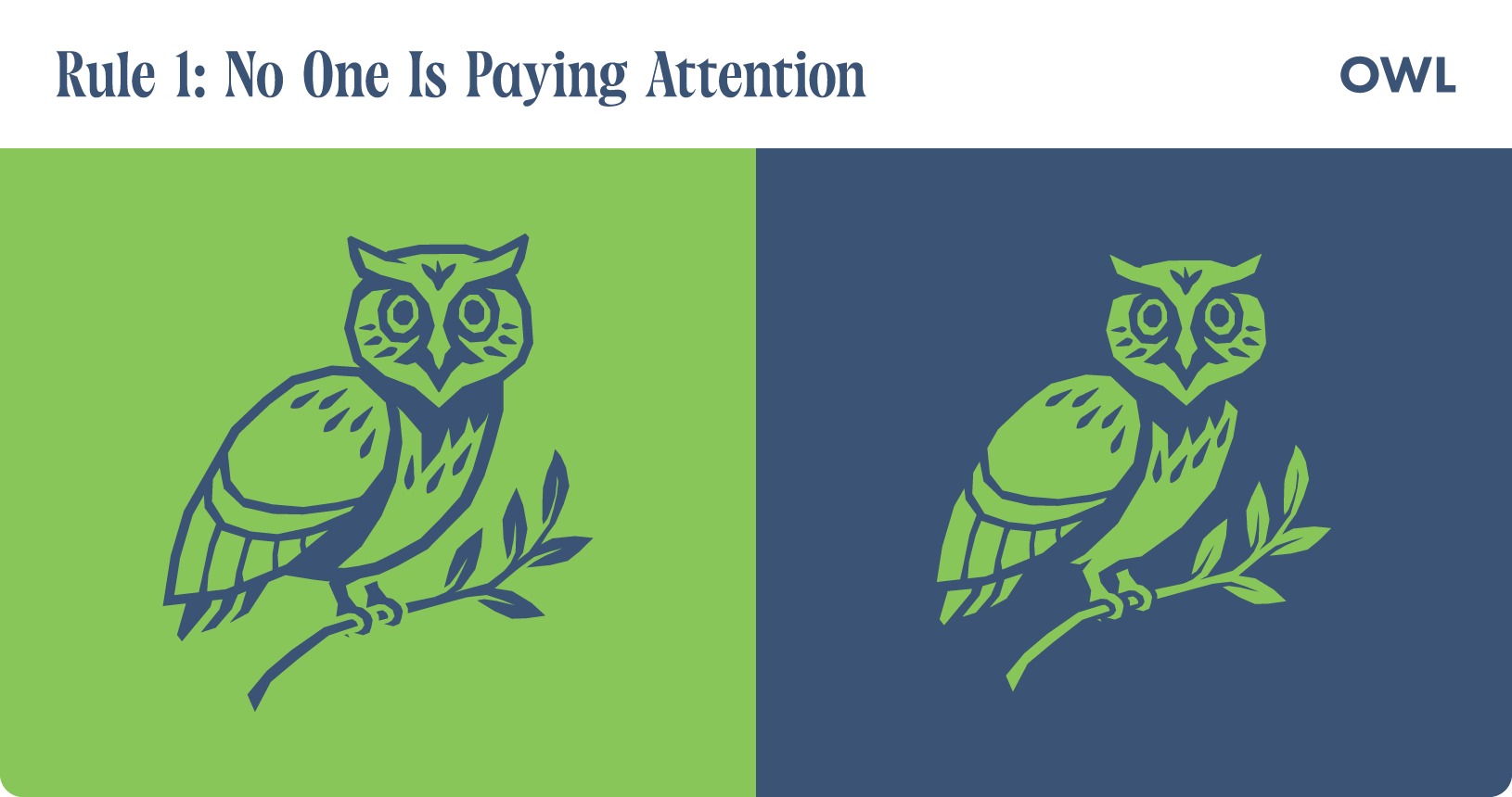 The Damn Rules. Rule 1: No one is paying attention. Owl illustration