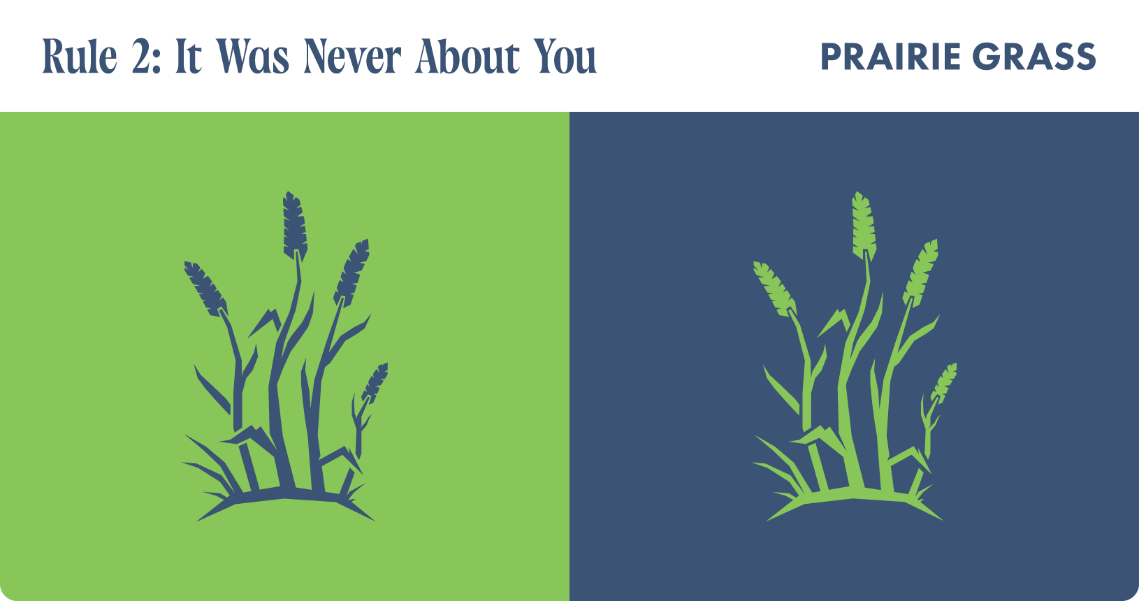 The Damn Rules. Rule 2: It was never about you. Prairie Grass illustration
